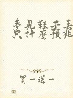 梦见鞋子丢了一只什么预兆