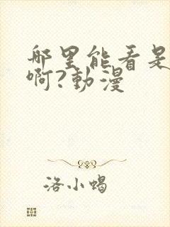 哪里能看是王者啊?动漫