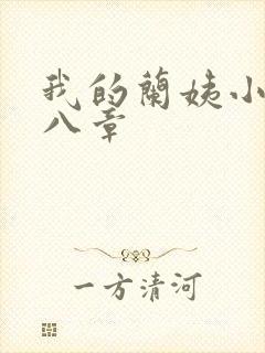 我的兰姨小说第八章