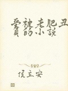 受被老肥丑攻欺负的小说