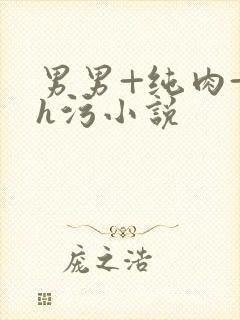男男+纯肉+高h污小说