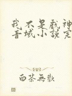 我不是戏神三九音域小说完全版