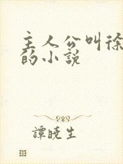 主人公叫徐什么的小说