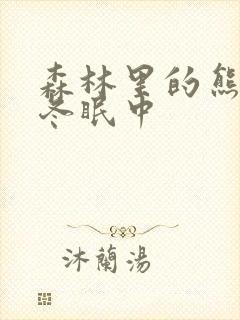 森林里的熊先生冬眠中