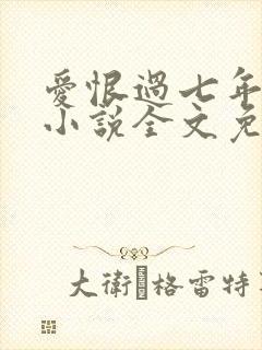 爱恨过七年原著小说全文免费阅读