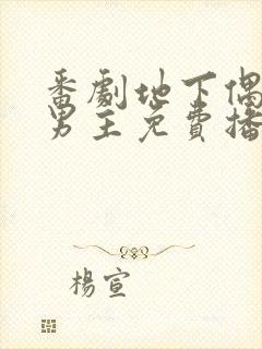 番剧地下偶像双男主免费播放封面