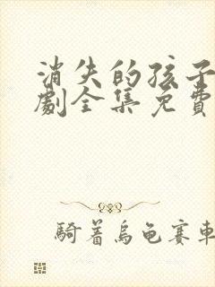 消失的孩子电视剧全集免费观看完整版