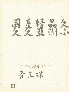 国产精品久久久久久亚洲小说