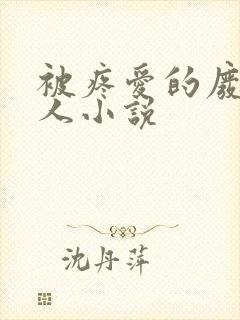 被疼爱的废物美人小说封面