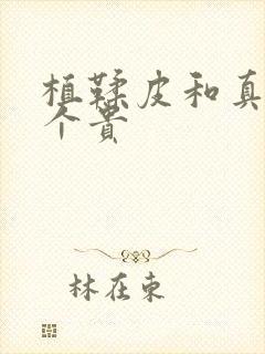 植鞣皮和真皮哪个贵