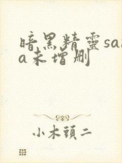 暗黑精灵sana未增删封面