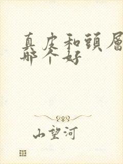 真皮和头层牛皮哪个好封面