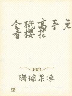 全职高手免费观看樱花