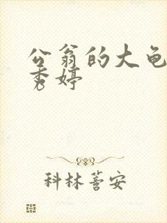 公翁的大龟挺进秀婷封面