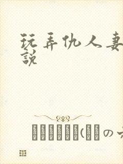 玩弄仇人妻女小说封面