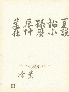 叶辰孙怡夏若雪在什么小说软件