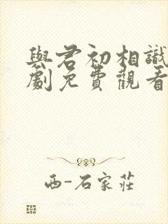 与君初相识电视剧免费观看完整版在线