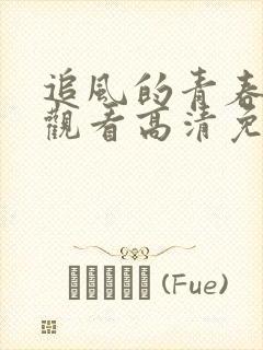 追风的青春在线观看高清免费封面