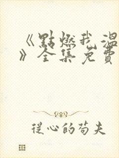 《点燃我温暖你》全集免费电视剧封面