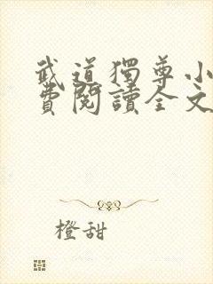 武道独尊小说免费阅读全文