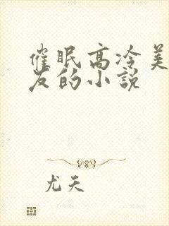 催眠高冷美人室友的小说封面