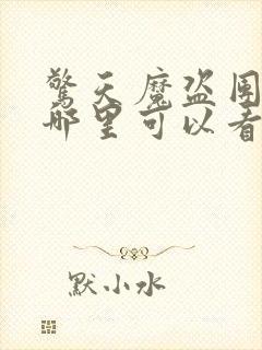 惊天魔盗团3在哪里可以看