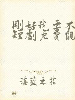 刚好我要不爱你短剧免费观看封面