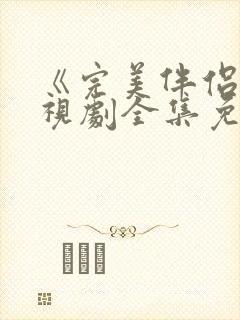 《完美伴侣》电视剧全集免费观看