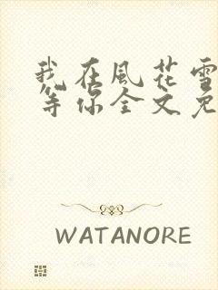 我在风花雪月里等你全文免费阅读