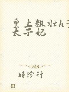 皇上粗壮h灌满太子妃