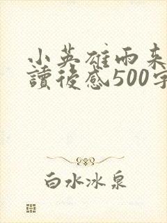 小英雄雨来优秀读后感500字
