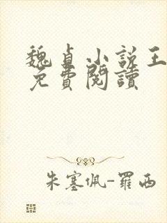 魏贞小说王苗壮免费阅读