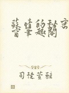 苏晴的秘密无弹窗笔趣阁