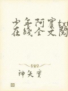 少年阿宾txt在线全文阅读