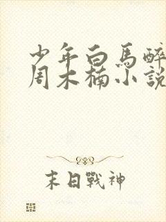 少年白马醉春风周木楠小说