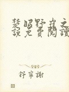 楚昭野崔之棠小说免费阅读最新章节