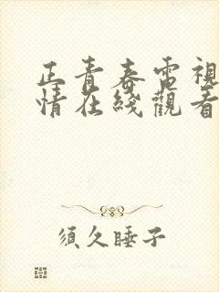 正青春电视剧剧情在线观看免费高清