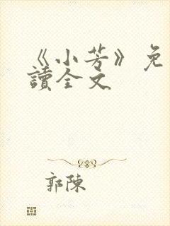 《小芳》免费阅读全文