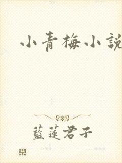 小青梅小说