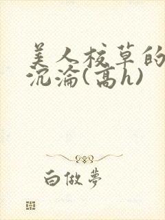 美人校草的堕落沉沦(高h)