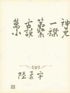 万古第一神有声小说紫襟免费