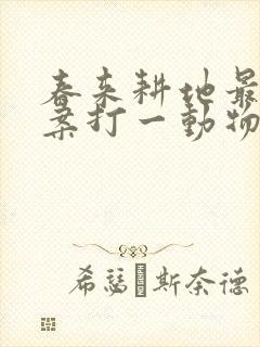 春来耕地最佳答案打一动物