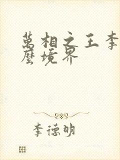 万相之王李洛什么境界封面