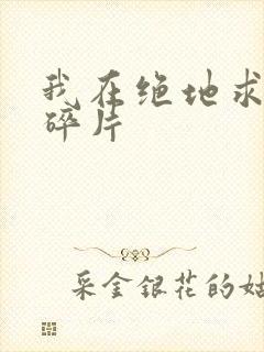 我在绝地求生捡碎片封面