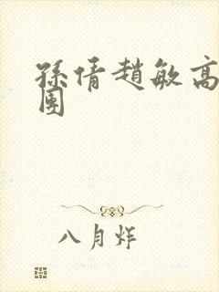 孙倩赵敏高义大团