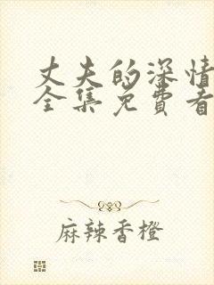 丈夫的深情谎言全集免费看封面