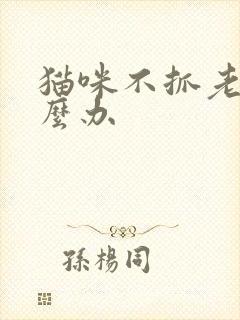 猫咪不抓老鼠怎么办封面