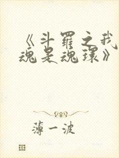 《斗罗之我的武魂是魂环》