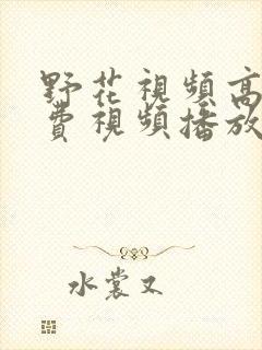 野花视频高清免费视频播放9