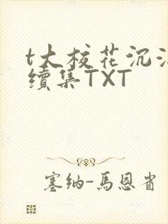 t大校花沉浮录续集TXT封面